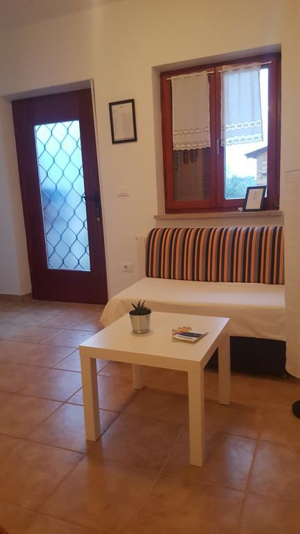 Apartments Sorgo Novigrad  ภายนอก รูปภาพ